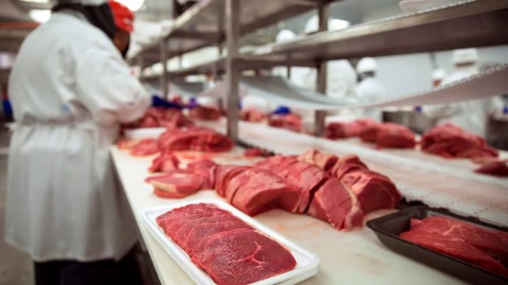 BOI/CEPEA: oferta de carne é alta, mas baixo poder de compra mantém consumo limitado