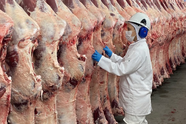 exportação de carne