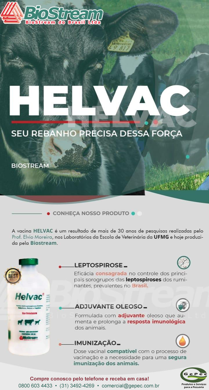 Conheça a Helvac - Vacina anti-leptospiroses bovinos, bubalinos, ovinos e caprinos.