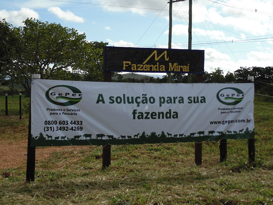 Dia de Campo da Fazenda Miraí - Cliente Gepec