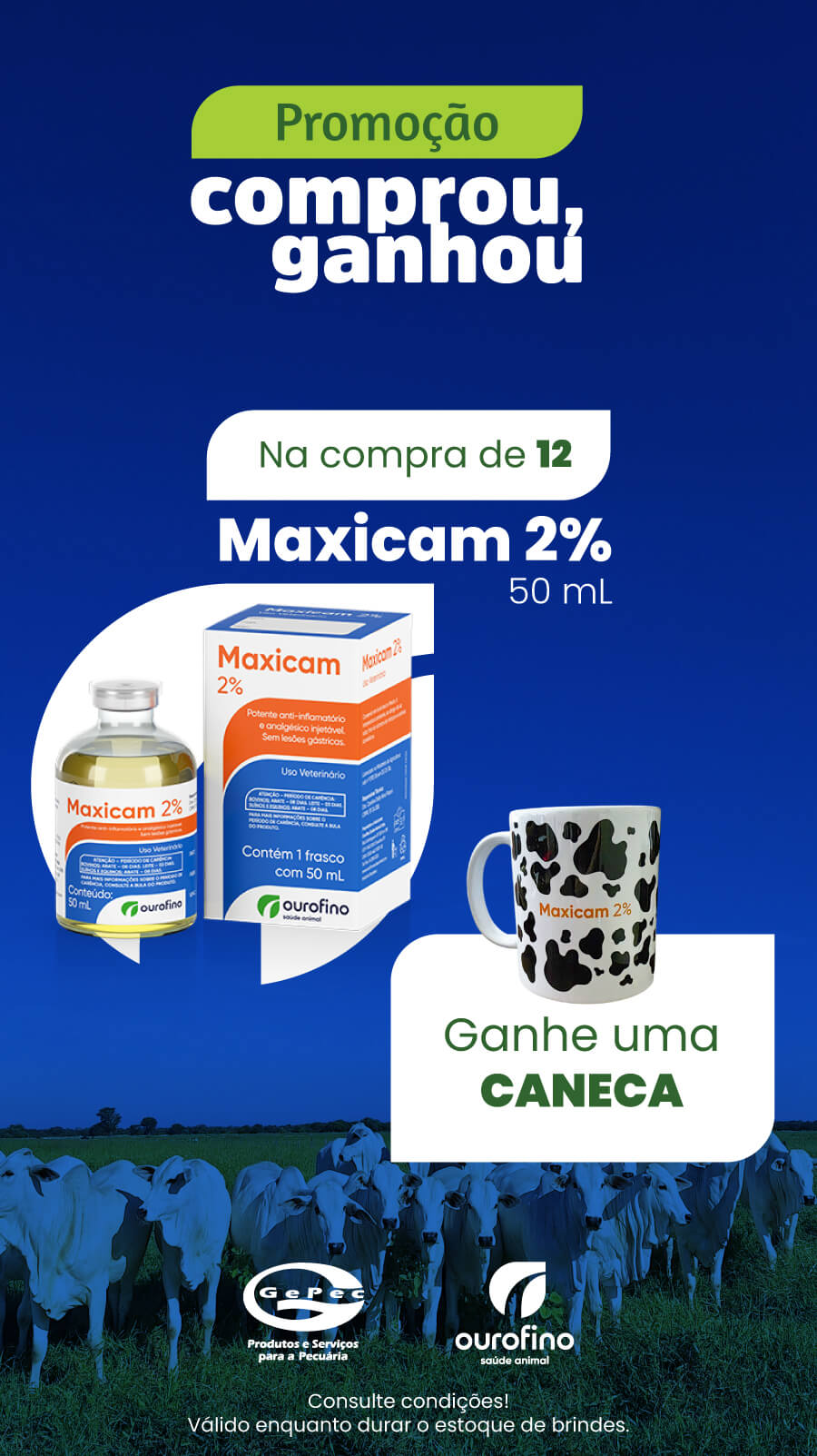 Comprou, Ganhou!