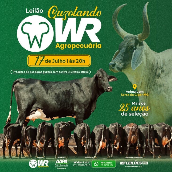 Leilão Guzolando WR Agropecuária