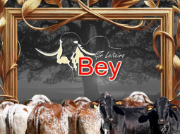 Irmãos Brant - 9º LEILÃO ONLINE MARCA BEY