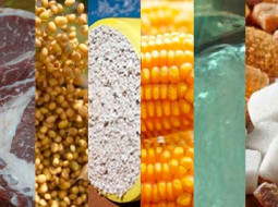 Irmãos Brant - Estão disponíveis as agromensais de outubro/2023