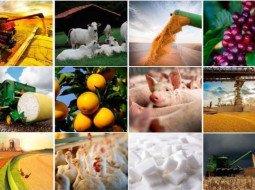 Irmãos Brant - Estão disponíveis as agromensais de março/26