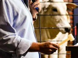 Irmãos Brant - Apex assina convênio de R$ 4,6 milhões com ABCZ