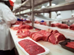 Irmãos Brant - Brasil busca rever cota chinesa para exportação de carne bovina em 2027