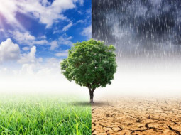 Irmãos Brant - Frente fria leva chuva ao Sul e Sudeste do Brasil