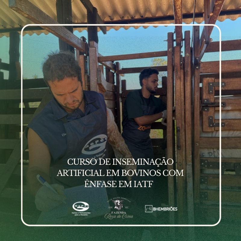 Curso de Inseminação Artificial com Ênfase na IATF