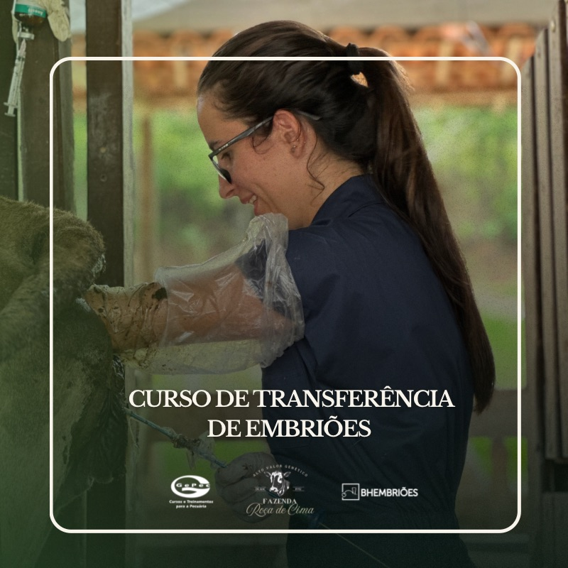 Curso de Transferência de Embriões