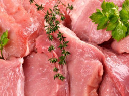 Irmãos Brant - BOI/CEPEA: demanda aquecida eleva preço da carne