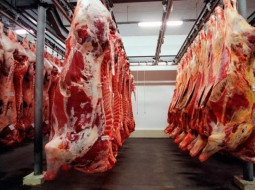 Irmãos Brant - Avanço na negociação com Japão anima exportadores de carne do Brasil