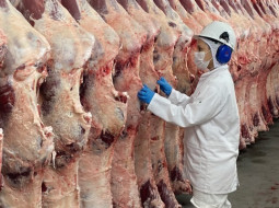 Irmãos Brant - Carne bovina acelera exportações e amplia peso estratégico no agro brasileiro