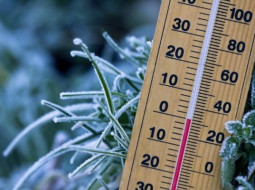 Irmãos Brant - Frio intenso em áreas de pasto! Termômetros podem marcar -5°C