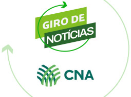 Irmãos Brant - CNA prevê crescimento do PIB do agronegócio em 2025, mas cenários externo e interno são desafiadores para o setor
