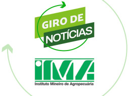 Irmãos Brant - Minas Gerais supera meta de cobertura vacinal contra febre aftosa em 2022