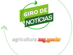 Irmãos Brant - Valor Bruto da Produção agropecuária mineira atinge recorde de R$ 132,3 bilhões em 2022