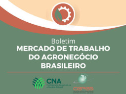 Irmãos Brant - MERCADO DE TRABALHO/CEPEA: Agronegócio emprega 28,2 milhões de pessoas em 2024 e representa 26% das ocupações do País