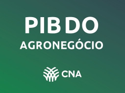Irmãos Brant - CNA e Cepea apontam crescimento de 12,2% do PIB do agronegócio em 2025