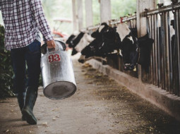 Irmãos Brant - Lácteos ganham o mundo com sabores criativos e apelo saudável