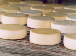 Irmãos Brant - Tradição une produção de laticínios e turismo rural no Norte de Minas