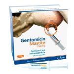 Irmãos Brant - Gentomicin Mastite VL Cx. C/20 Bisnagas