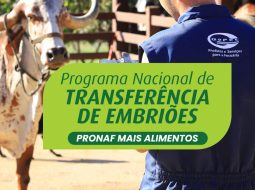 Irmãos Brant - PRONAF amplia crédito para transferência de embriões