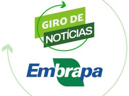 Irmãos Brant - Embrapa e Associações de produtores divulgam novos Sumários do Gir Leiteiro e Girolando