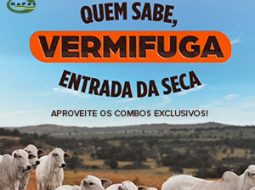 Irmãos Brant - Campanha Quem Sabe Vermifuga – Entrada da Seca
