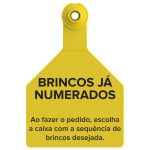 Irmãos Brant - Brinco Datamars M Amarelo Num