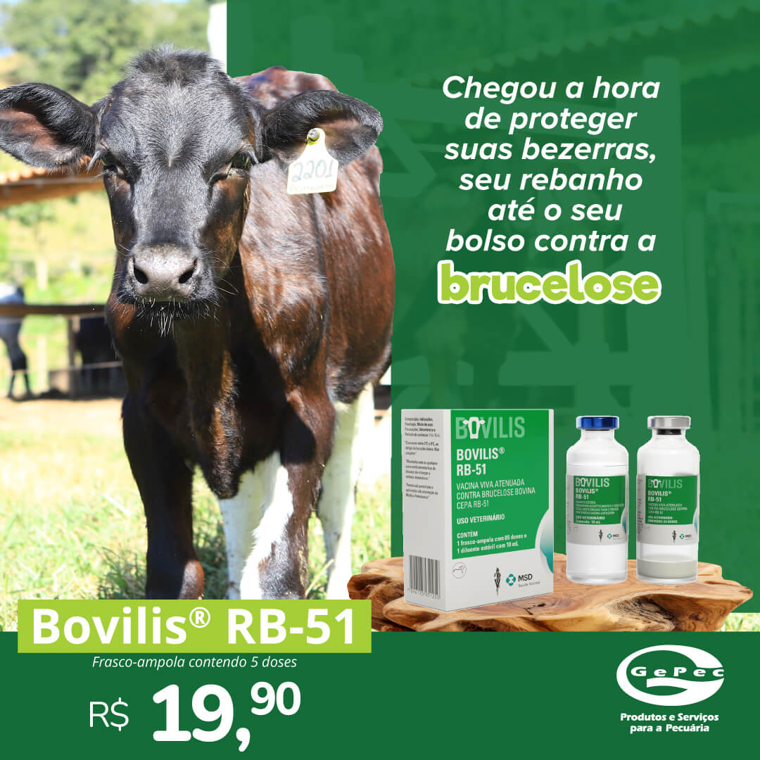 Bovilis® RB-51 é uma vacina viva atenuada, liofilizada, contendo cultivo vivo de Brucella abortus, cepa RB-51. Bovilis® RB-51 é uma vacina viva atenuada, liofilizada, contendo cultivo vivo de Brucella abortus, cepa RB-51.
