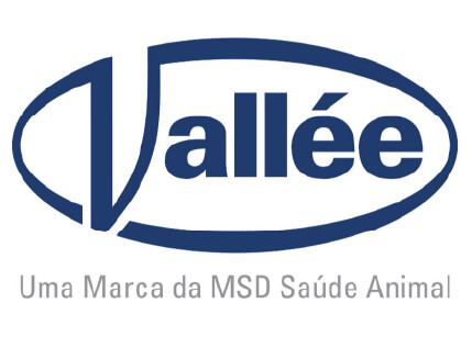 Vallée