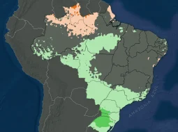 Irmãos Brant - Clima no Brasil em agosto de 2026